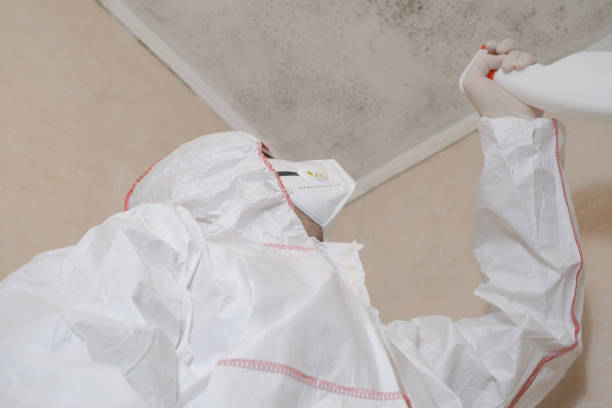 Mold Remediation for Rental Properties in Woodmere, LA