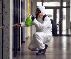 Biohazard Mold Removal in Woodmere, LA